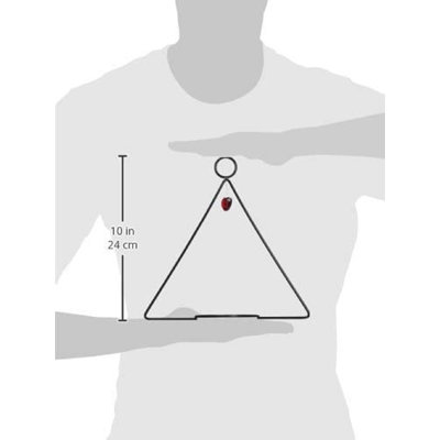 Birds Choice Hummingbird Feeder Swing Shape for Nectar & Reviews | Wayfair